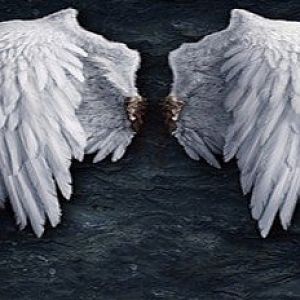 19218-angel-wings.jpg