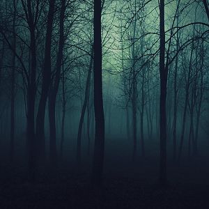 Just another dark forest