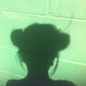Green Shadow Icon