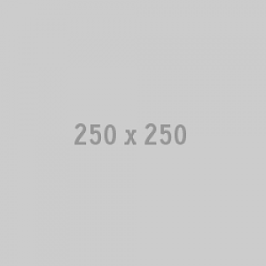 250 x 250 placeholder