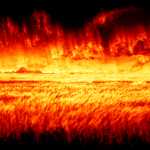 field of flame
