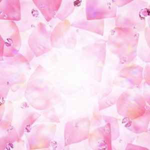 3690184-1080p-pink-rose-petals-wallpapers.jpg