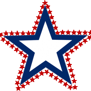 Lone Star Logo.png