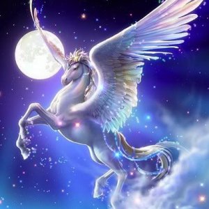 Starry Pegasus 200x300 ratio cropped.jpg