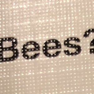 Bees? Cards Against Humanity card