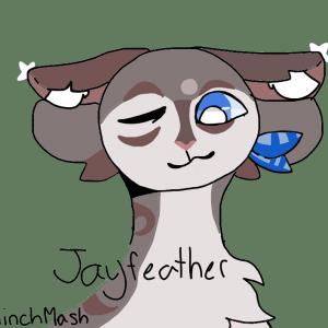Jayfeather