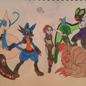My pokemon team(old)