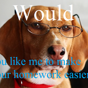 Mr dog will kill your homework....