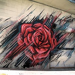 Hidden Rose