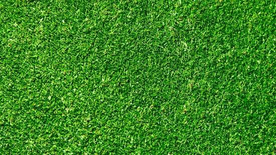 grass-textures-17.jpg