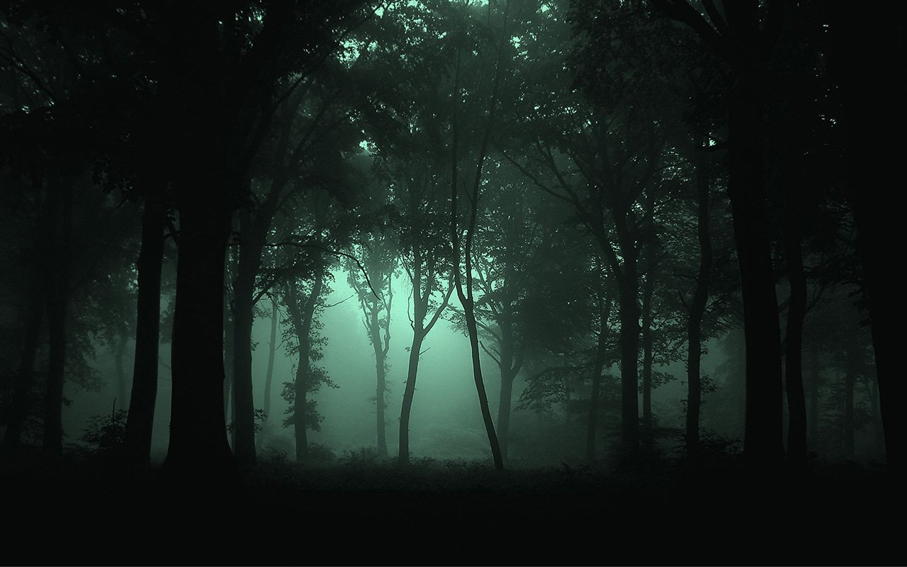 Hd-dark-forest-wallpaper-awesome