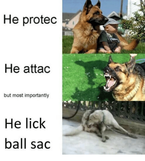 He-protedc-he-attad-but-most-importantly-he-lick-ball-27109100