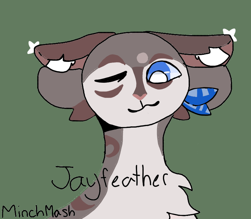 Jayfeather