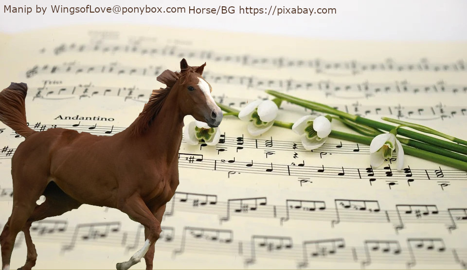 Music Horse