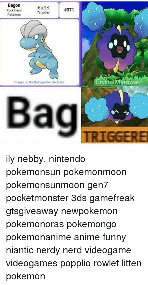 nebby don’t want to go in the bag !