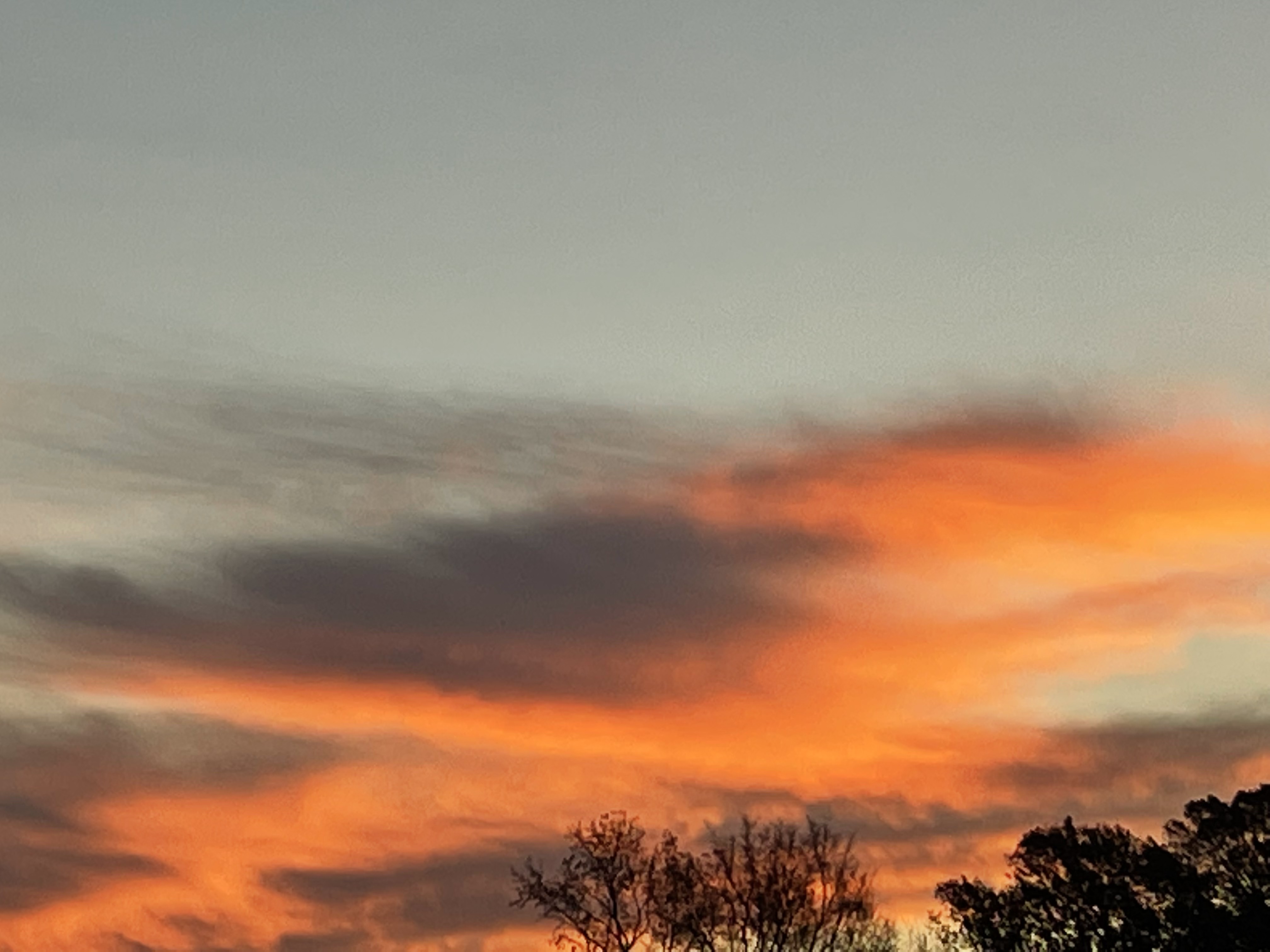 Orange Clouds of Sunrise
