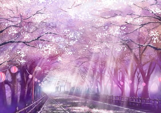 Sakura Forest