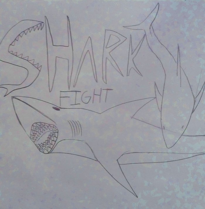 Shark Fight!!