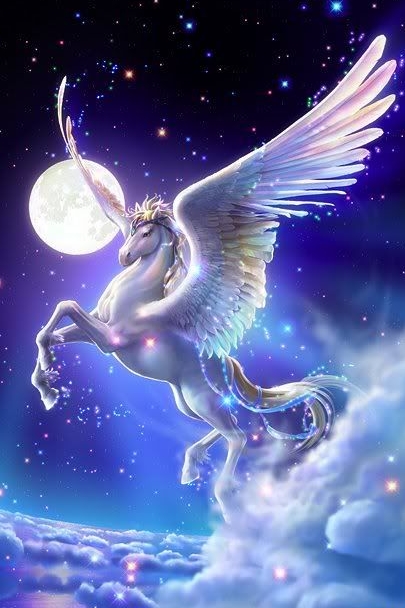 Starry Pegasus 200x300 ratio cropped.jpg