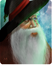 The Wizard 2