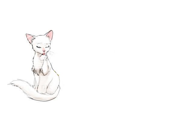 Anime-Cats-1-1.jpg