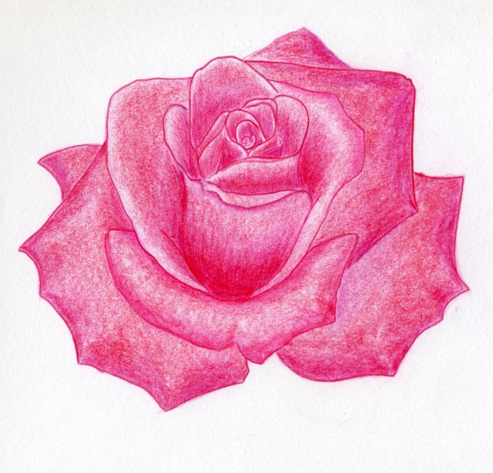 how-to-draw-a-rose33.jpg