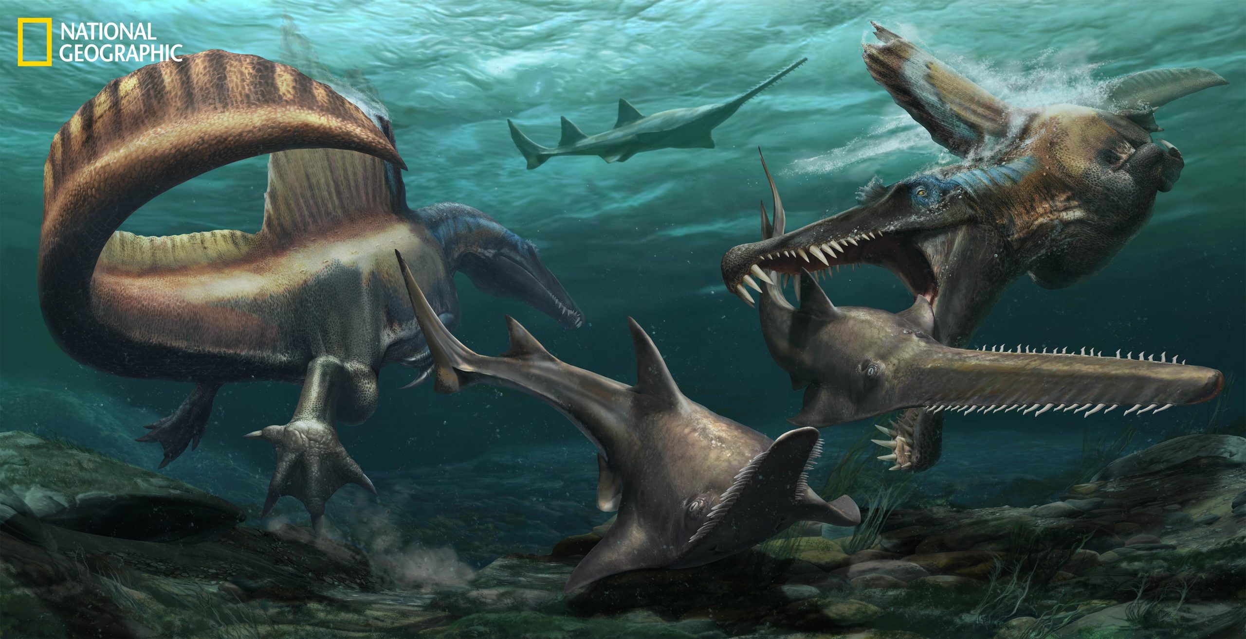 Two-Spinosaurus-Hunt-Onchopristis-scaled.jpg