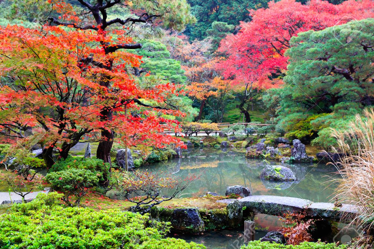 85820282-autumn-landscape-autumn-leaves-at-japanese-garden-kyoto-japan.jpg