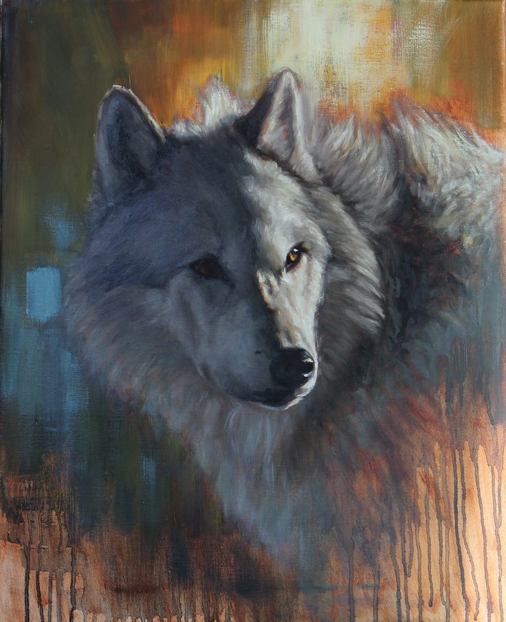 4fdfe757a86bf2eb9d4019c59f716fc9--grey-wolves-wolves-art.jpg