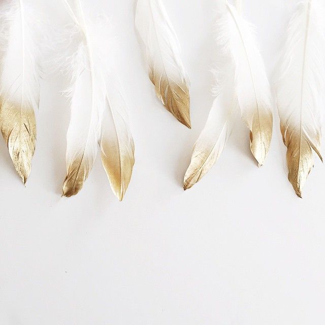 41322efbbfa582017b110269499d4b77--painted-feathers-gold-feathers.jpg