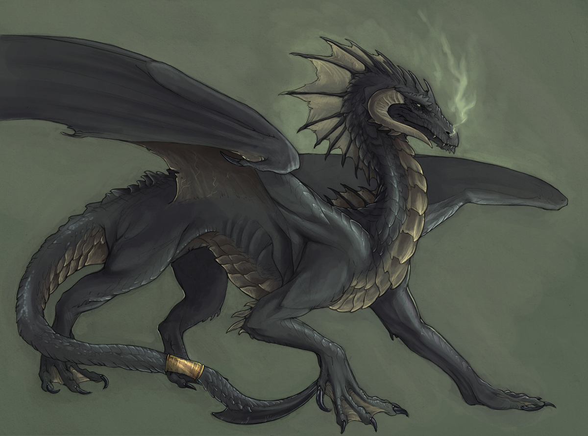 sinistre_black_dragon_by_rhynn.jpg