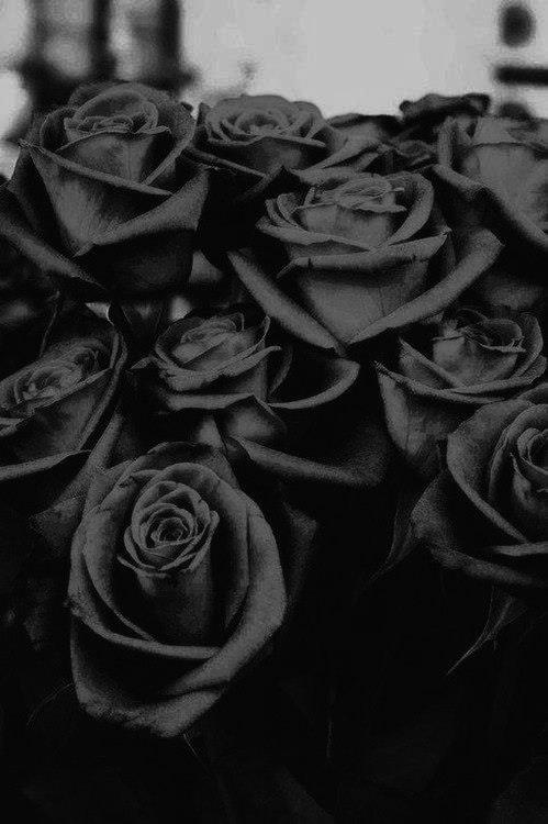 db4fe58761811dfe1ed2f43fd48c0a90--roses-are-red-black-roses.jpg
