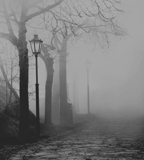 523153702-bampw-black-and-white-fog-mist-street-Favim_com-415718.jpg