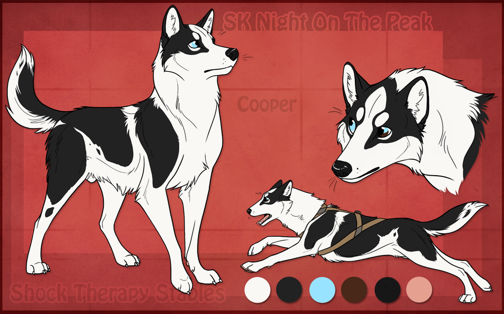 sts_dog___cooper_by_shocktherapystables-d5tazyd.png