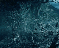 Treebeard GIFs - Get the best GIF on GIPHY