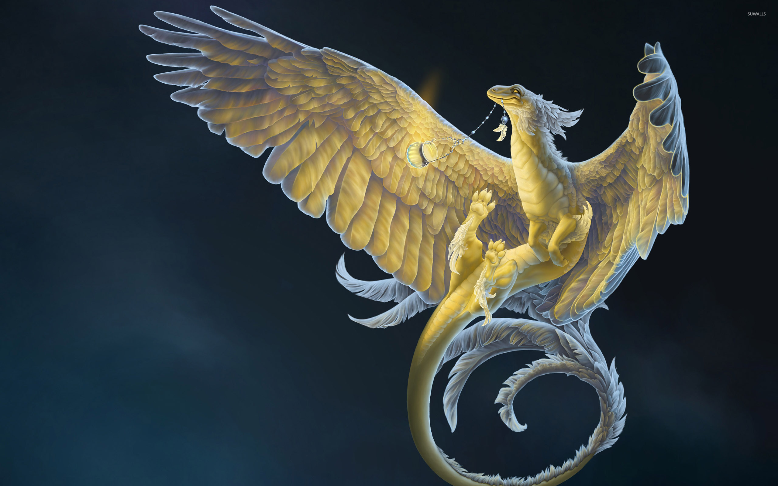 dragon-with-feathers-34168-2560x1600.jpg