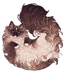 Image result for ragdoll cat drawing