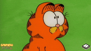 Garfield And Friends What GIF by Boomerang Official