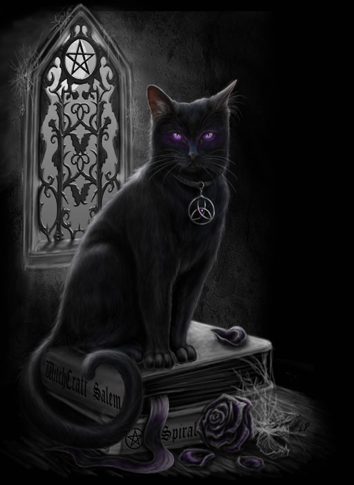 witches_black_cat_by_sheblackdragon-d5wmd9f.jpg