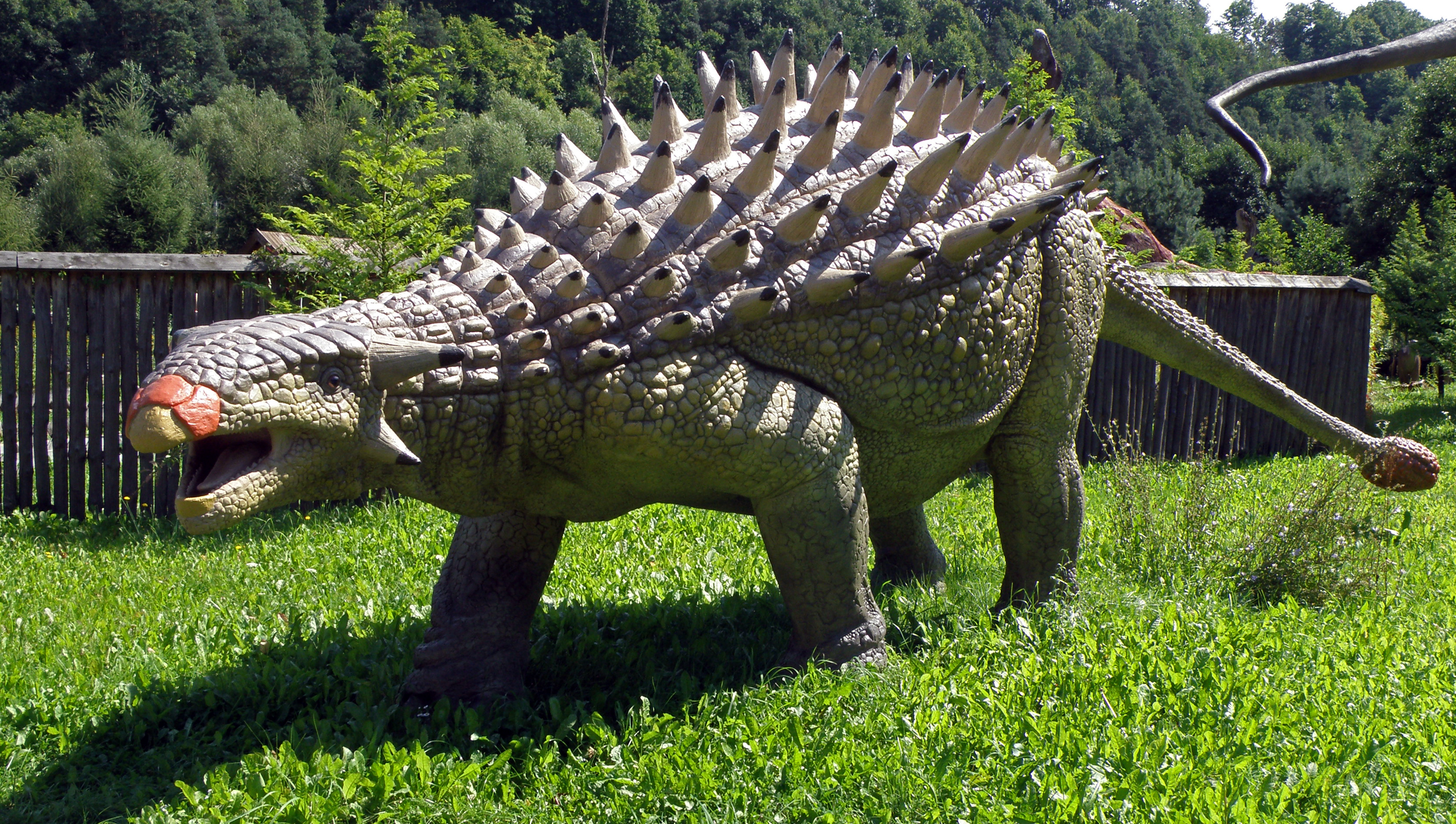 Ankylozaur_(Ankylosaurus)_-_JuraPark_Baltow_(1).JPG