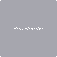 06. Placeholder.png