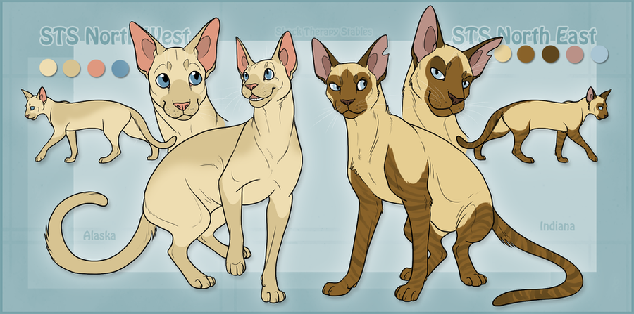 sts_cats__alli_and_indy_by_shocktherapystables-d5aj24r.png