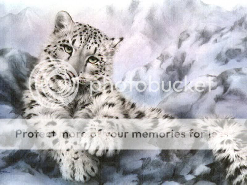 snow-leopard-forEmily.jpg