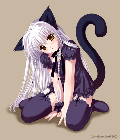 cute-anime-cat-catgirls-27758992-480-560.jpg