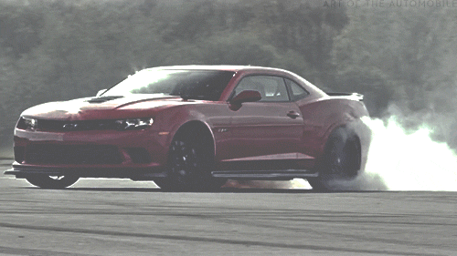 muscle_cars_07.gif