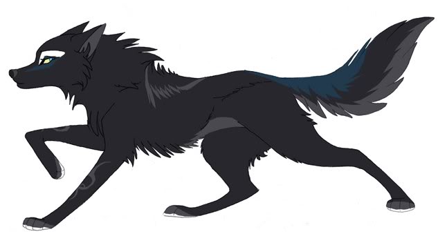 Blackwolf[1] (2).jpg