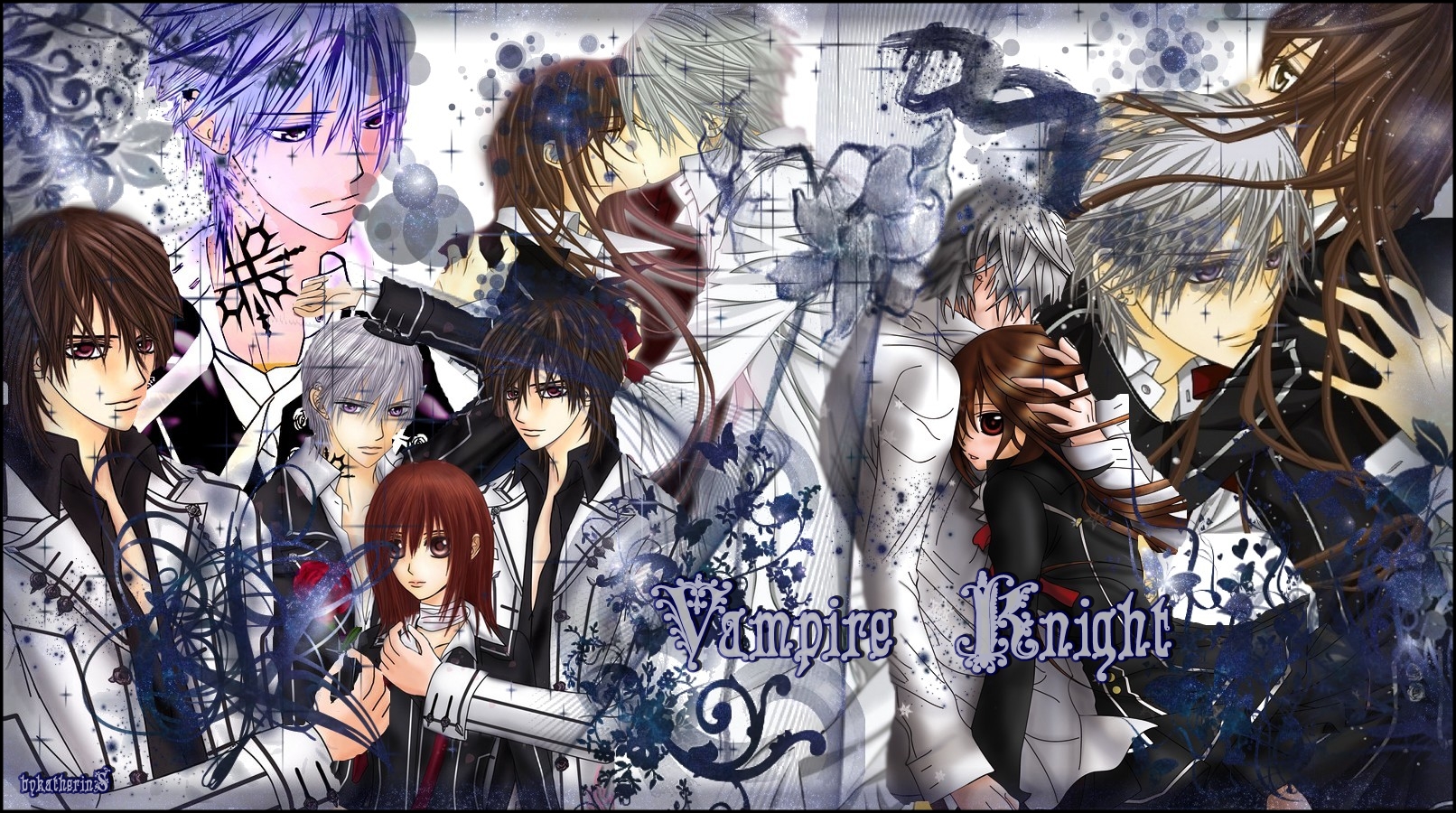 Vampire_Knight_anime_by_KatherinS.jpg