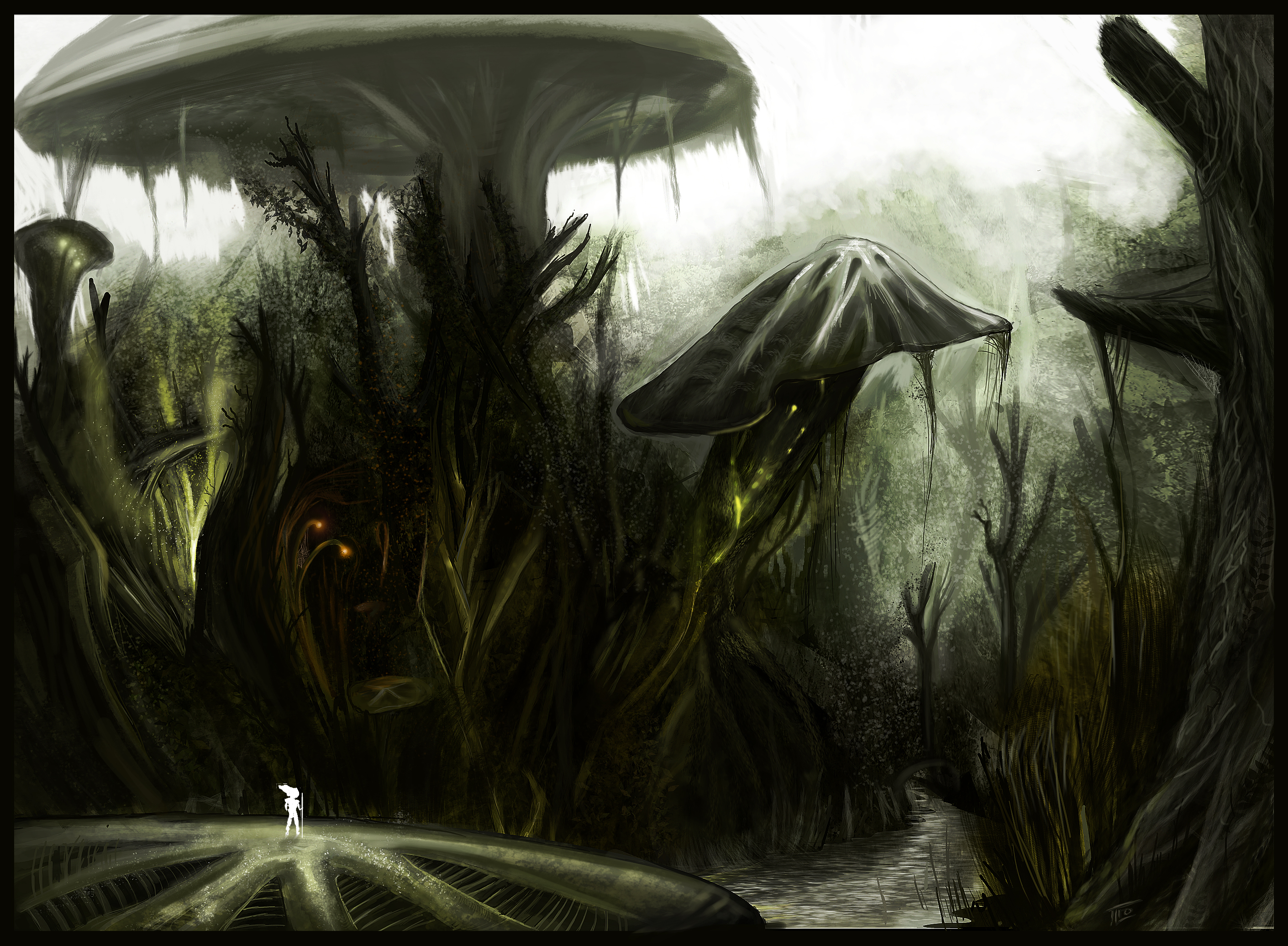 Mushroom_Forest_Concept_by_TLishman.jpg
