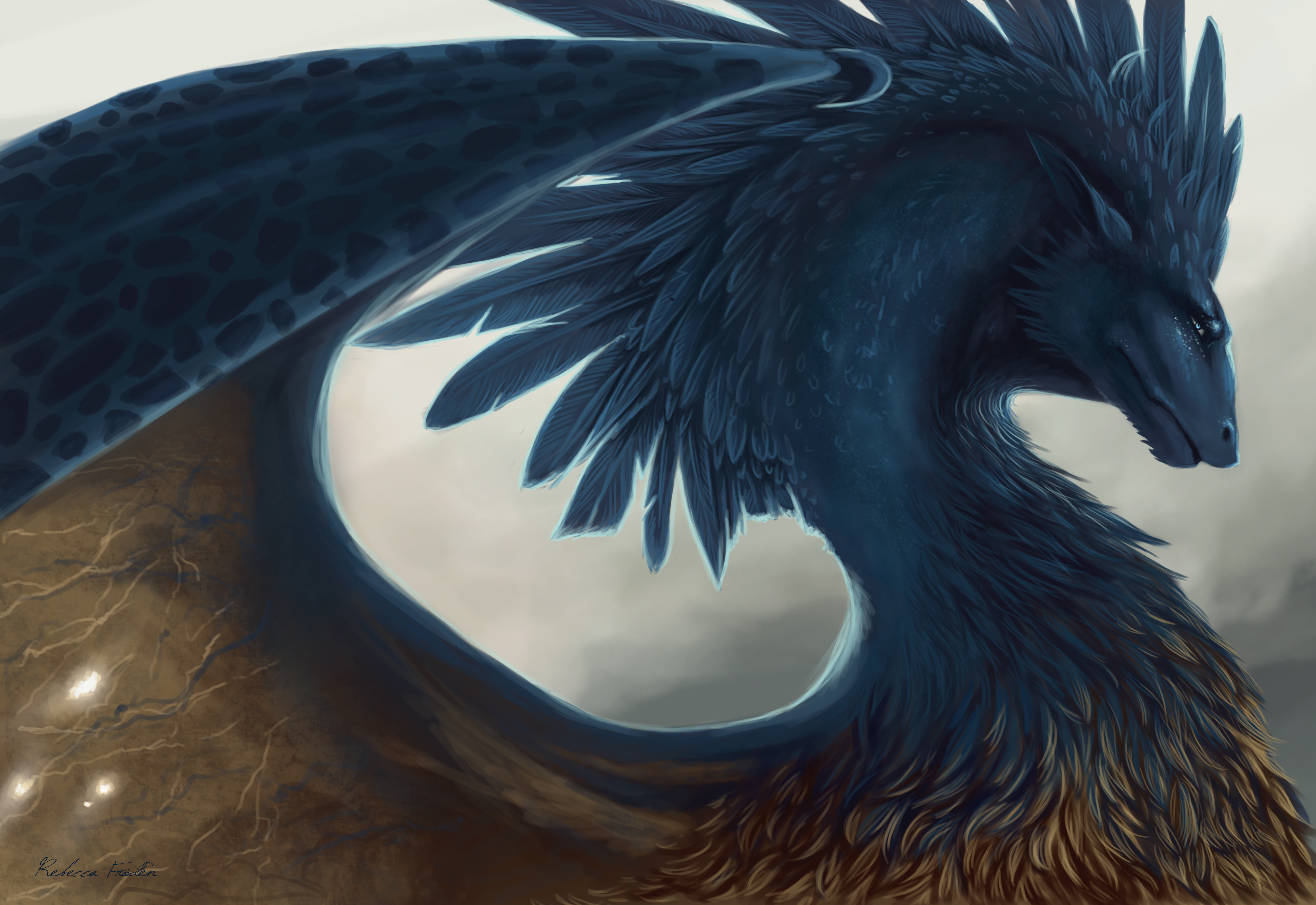 dragon-fantasy-art-feathers.jpg