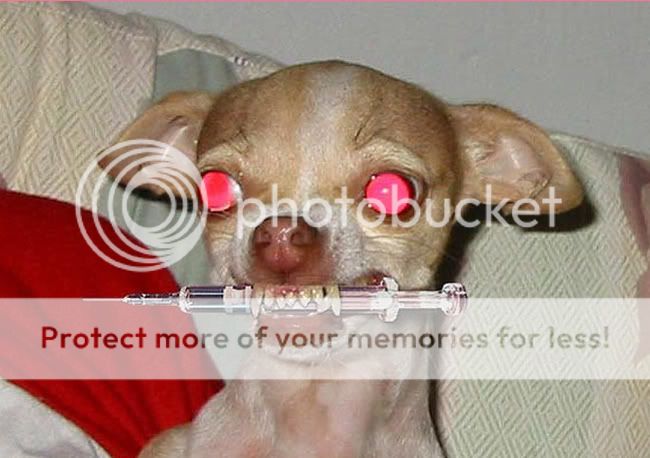 dog-on-heroin.jpg